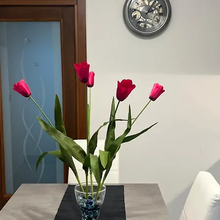 Ca' Delfina Apartament *