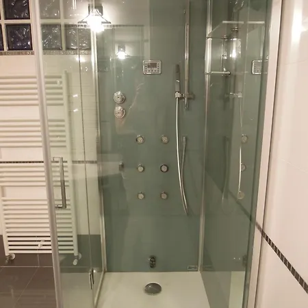 德尔菲娜度假屋 威尼斯