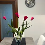 Ca' Delfina Apartment *