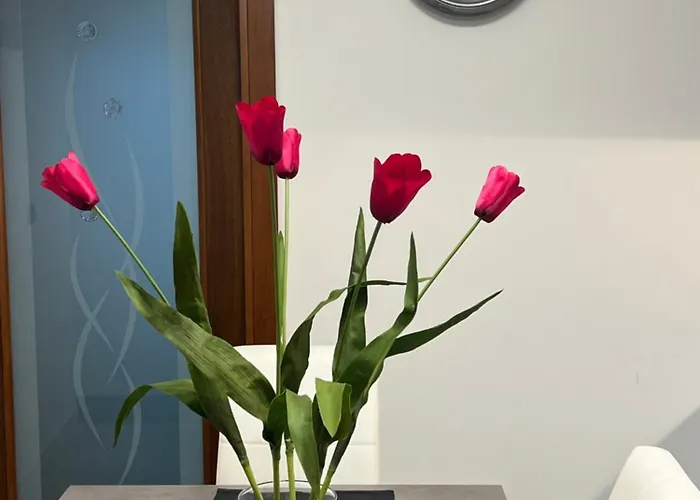 Ca' Delfina Apartment *